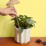 Instant Sun Houseplant Grow Lamp – We The Wild